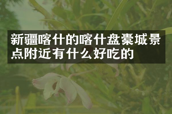 新疆喀什的喀什盘橐城景点附近有什么好吃的