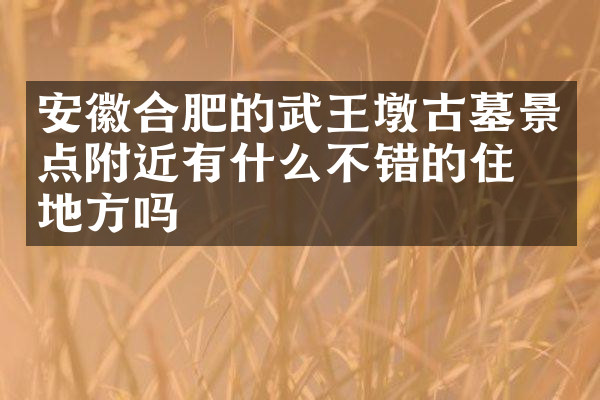 安徽合肥的武王墩古墓景点附近有什么不错的住的地方吗