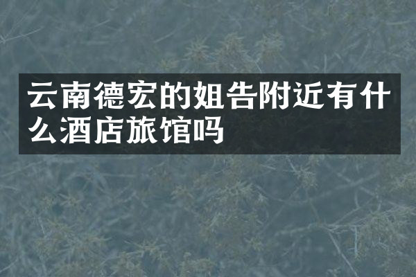 云南德宏的姐告附近有什么酒店旅馆吗
