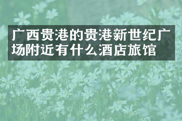 广西贵港的贵港新世纪广场附近有什么酒店旅馆吗