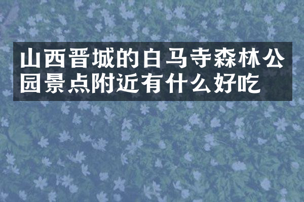 山西晋城的白马寺森林公园景点附近有什么好吃的