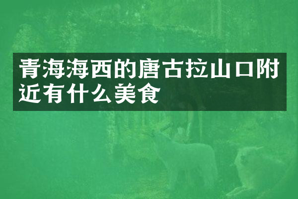 青海海西的唐古拉山口附近有什么美食