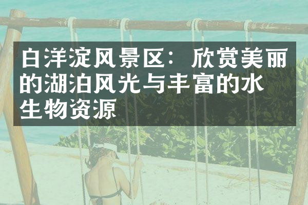 白洋淀风景区：欣赏美丽的湖泊风光与丰富的水生生物资源