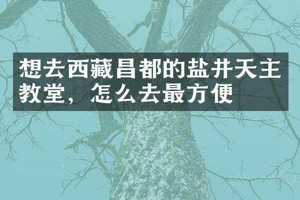 想去西藏昌都的盐井天主教堂，怎么去最方便