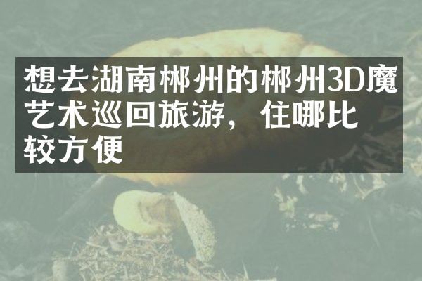 想去湖南郴州的郴州3D魔幻艺术巡回旅游，住哪比较方便