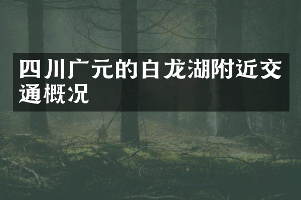 四川广元的白龙湖附近交通概况