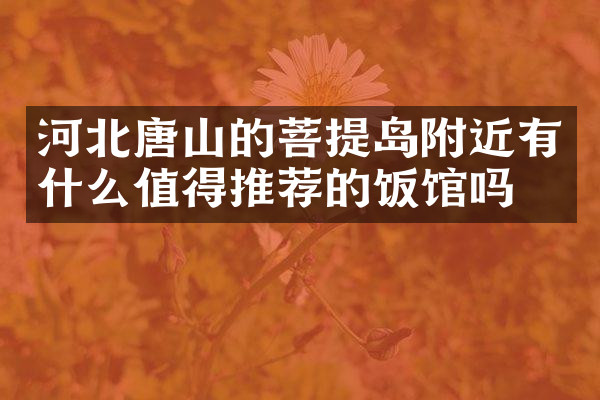河北唐山的菩提岛附近有什么值得推荐的饭馆吗