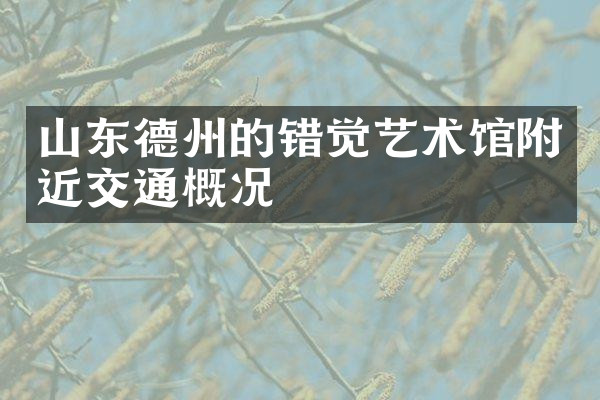 山东德州的错觉艺术馆附近交通概况