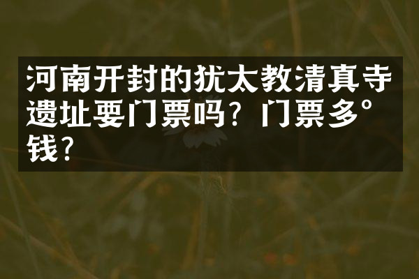 河南开封的犹太教清真寺遗址要门票吗？门票多少钱？