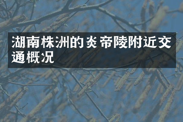湖南株洲的炎帝陵附近交通概况