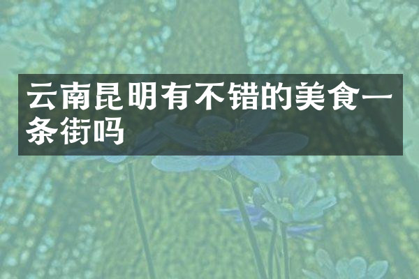 云南昆明有不错的美食一条街吗