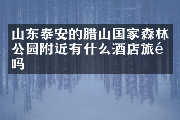 山东泰安的腊山国家森林公园附近有什么酒店旅馆吗