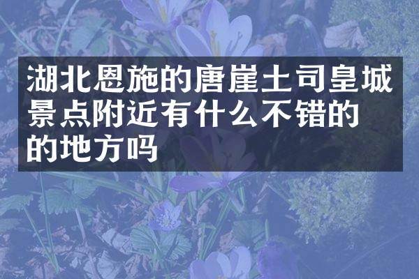湖北恩施的唐崖土司皇城景点附近有什么不错的住的地方吗