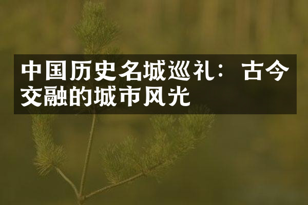 中国历史名城巡礼：古今交融的城市风光