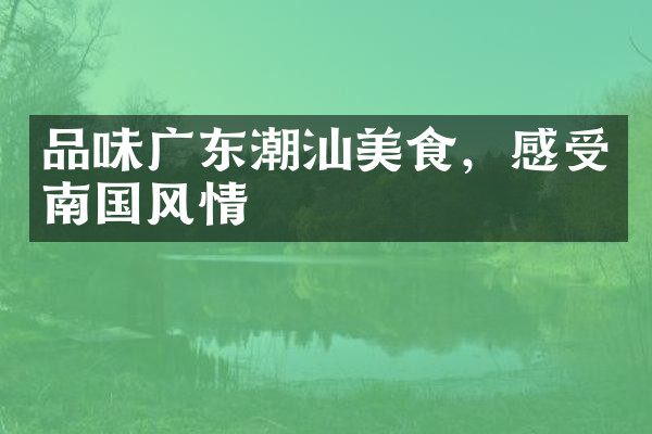 品味广东潮汕美食，感受南国风情