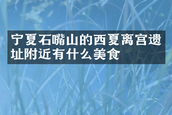 宁夏石嘴山的西夏离宫遗址附近有什么美食