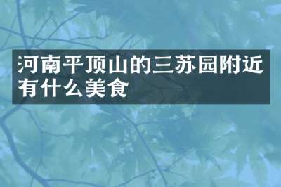 河南平顶山的三苏园附近有什么美食
