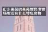 山东莱芜的莱芜雪野滑雪场附近有什么特色食物吗