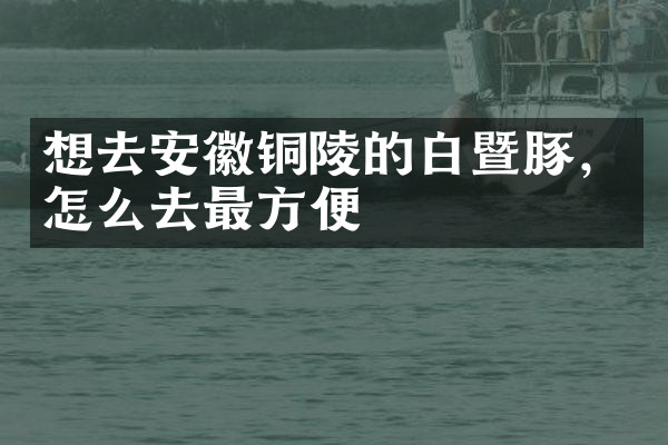 想去安徽铜陵的白暨豚，怎么去最方便