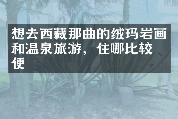 想去西藏那曲的绒玛岩画和温泉旅游，住哪比较方便