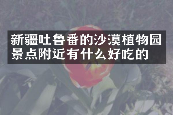 新疆吐鲁番的沙漠植物园景点附近有什么好吃的
