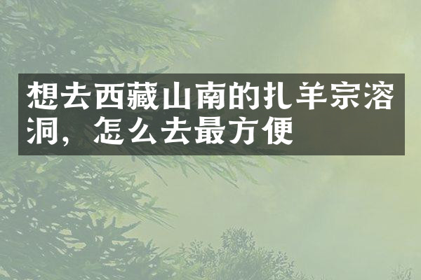 想去西藏山南的扎羊宗溶洞，怎么去最方便