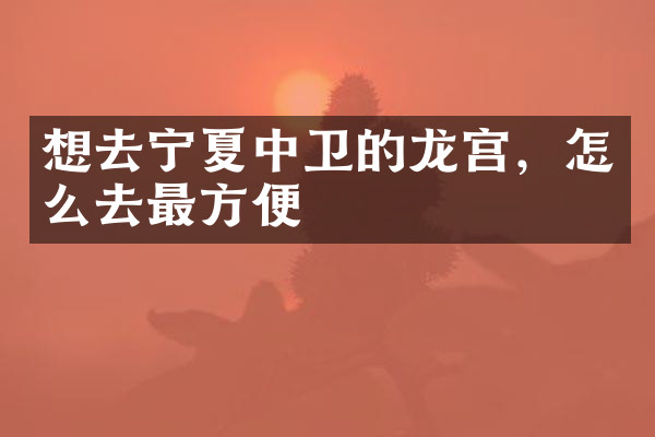想去宁夏中卫的龙宫，怎么去最方便