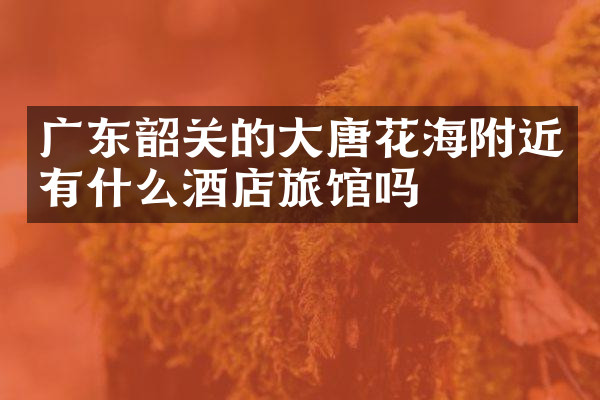 广东韶关的大唐花海附近有什么酒店旅馆吗