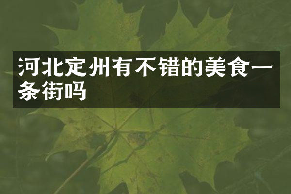 河北定州有不错的美食一条街吗