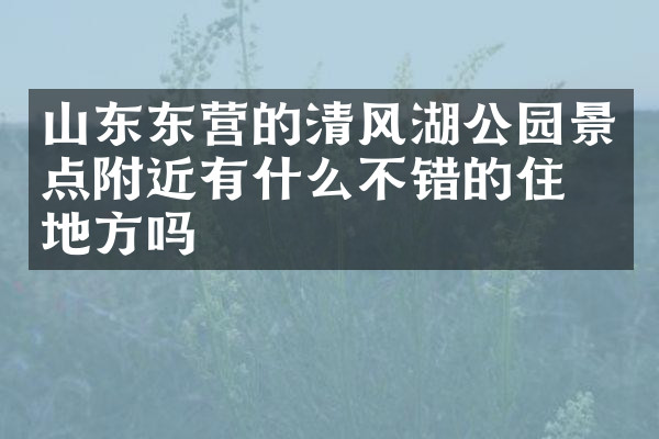 山东东营的清风湖公园景点附近有什么不错的住的地方吗