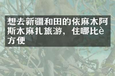 想去新疆和田的依麻木阿斯木麻扎旅游，住哪比较方便