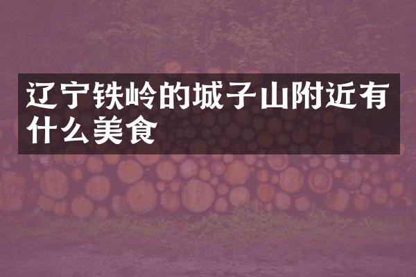 辽宁铁岭的城子山附近有什么美食