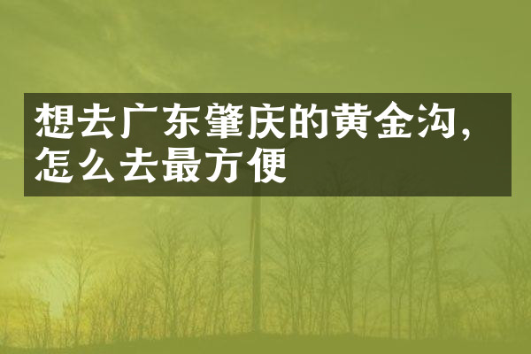 想去广东肇庆的黄金沟，怎么去最方便