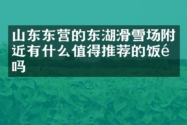 山东东营的东湖滑雪场附近有什么值得推荐的饭馆吗