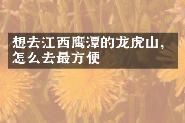 想去江西鹰潭的龙虎山，怎么去最方便