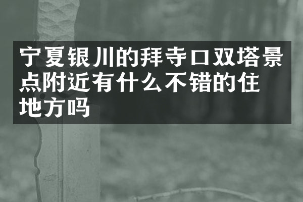 宁夏银川的拜寺口双塔景点附近有什么不错的住的地方吗