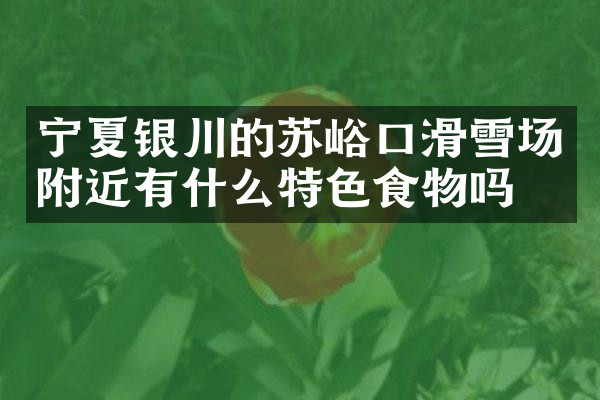 宁夏银川的苏峪口滑雪场附近有什么特色食物吗