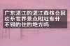 广东湛江的湛江森林公园欢乐世界景点附近有什么不错的住的地方吗
