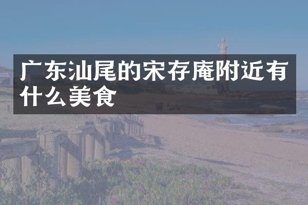 广东汕尾的宋存庵附近有什么美食
