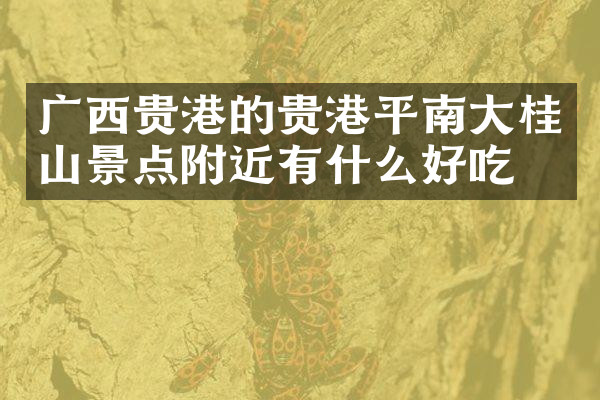 广西贵港的贵港平南大桂山景点附近有什么好吃的