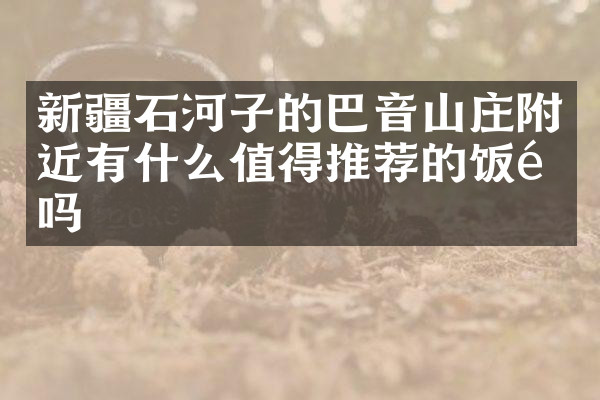 新疆石河子的巴音山庄附近有什么值得推荐的饭馆吗