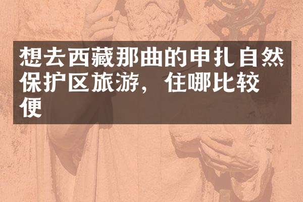 想去西藏那曲的申扎自然保护区旅游，住哪比较方便