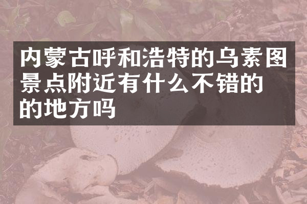 内蒙古呼和浩特的乌素图景点附近有什么不错的住的地方吗