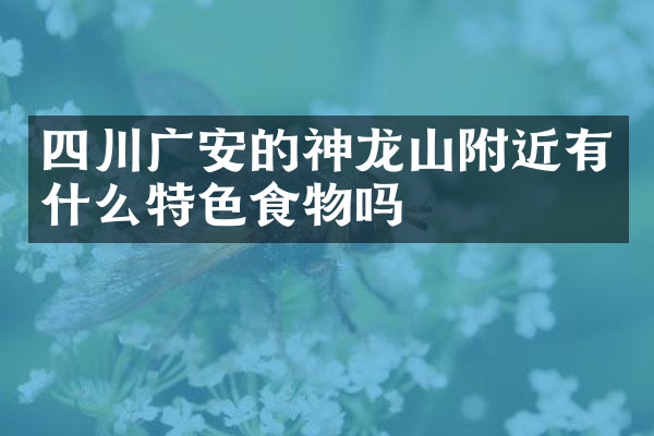 四川广安的神龙山附近有什么特色食物吗