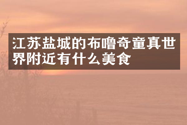 江苏盐城的布噜奇童真世界附近有什么美食