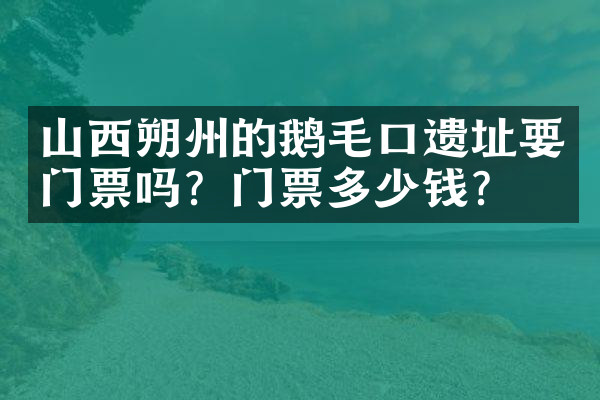 山西朔州的鹅毛口遗址要门票吗？门票多少钱？