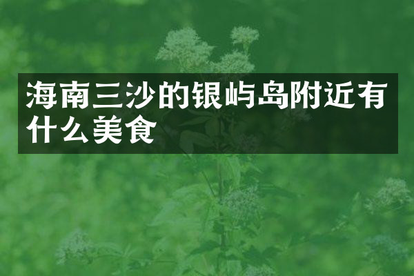 海南三沙的银屿岛附近有什么美食