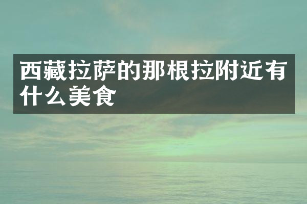 西藏拉萨的那根拉附近有什么美食