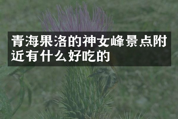 青海果洛的神女峰景点附近有什么好吃的
