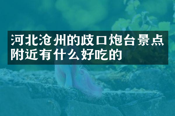 河北沧州的歧口炮台景点附近有什么好吃的